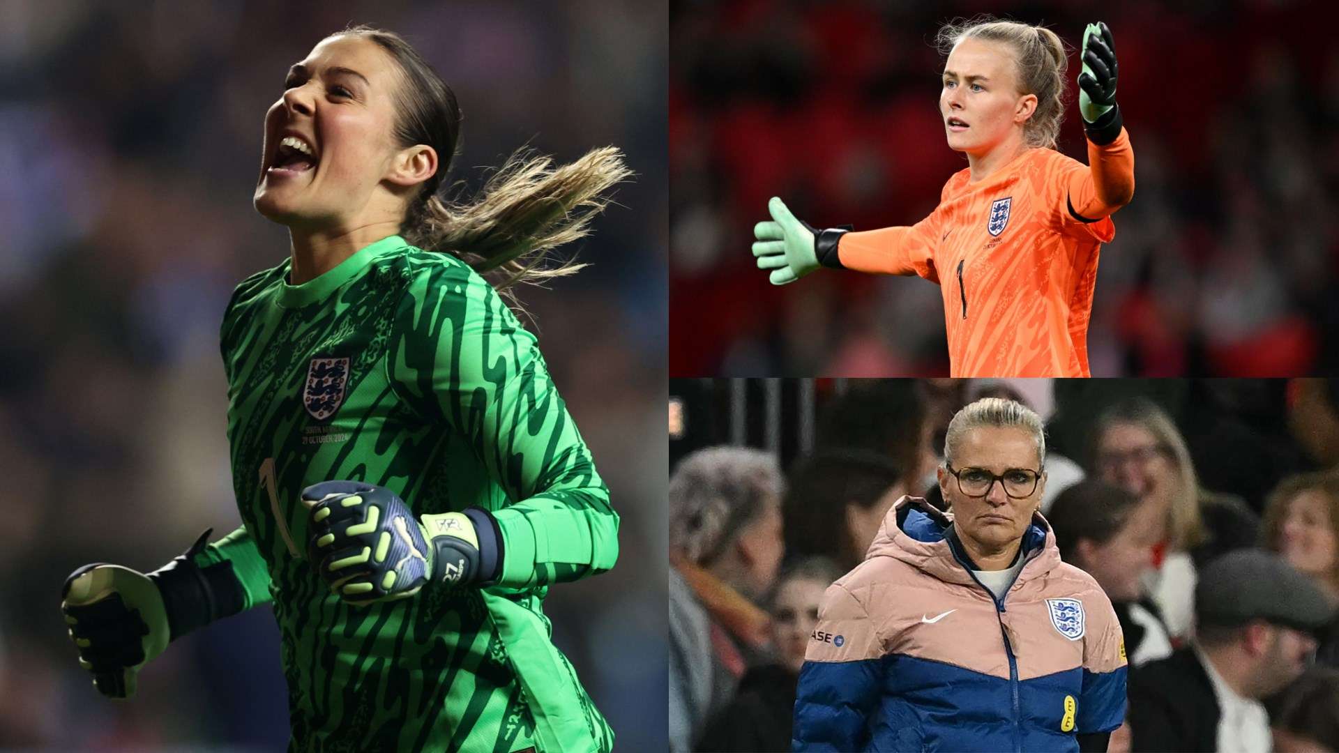 職業運動人 職業運動人