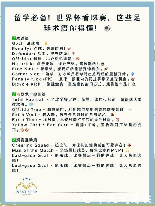 世界杯买球入口详解与攻略推荐